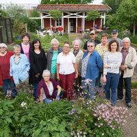 „Selbst angepflanztes Gemüse schmeckt am besten“