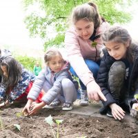 Kinder legen gemeinsam Gemüsebeet an