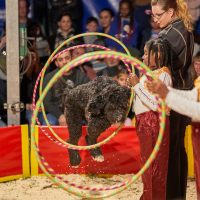 „Über sich hinausgewachsen“