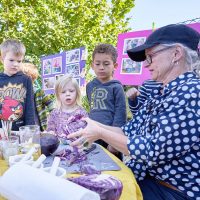 Verloren gegangenes Wissen zu Tage fördern