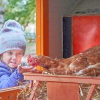 „Es hat ganz weiche Federn“