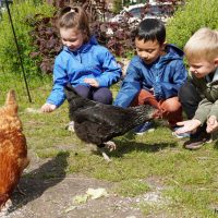 „Jeden Tag frische Eier“