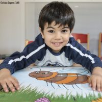 Aktionskoffer Wildbiene übergeben